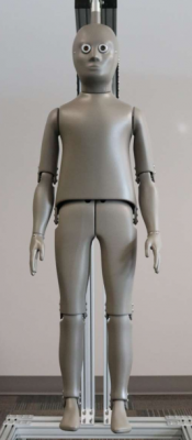 Child Thermal Manikin –兒童熱能人體模型