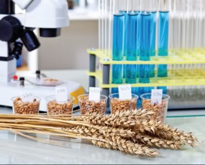 Latest Agency Product: Ahlstrom Seed Germination Test Paper